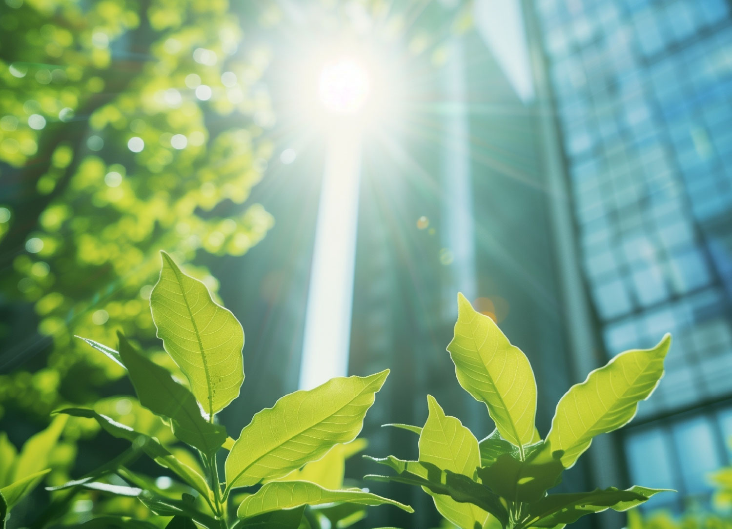 Green Building Practices