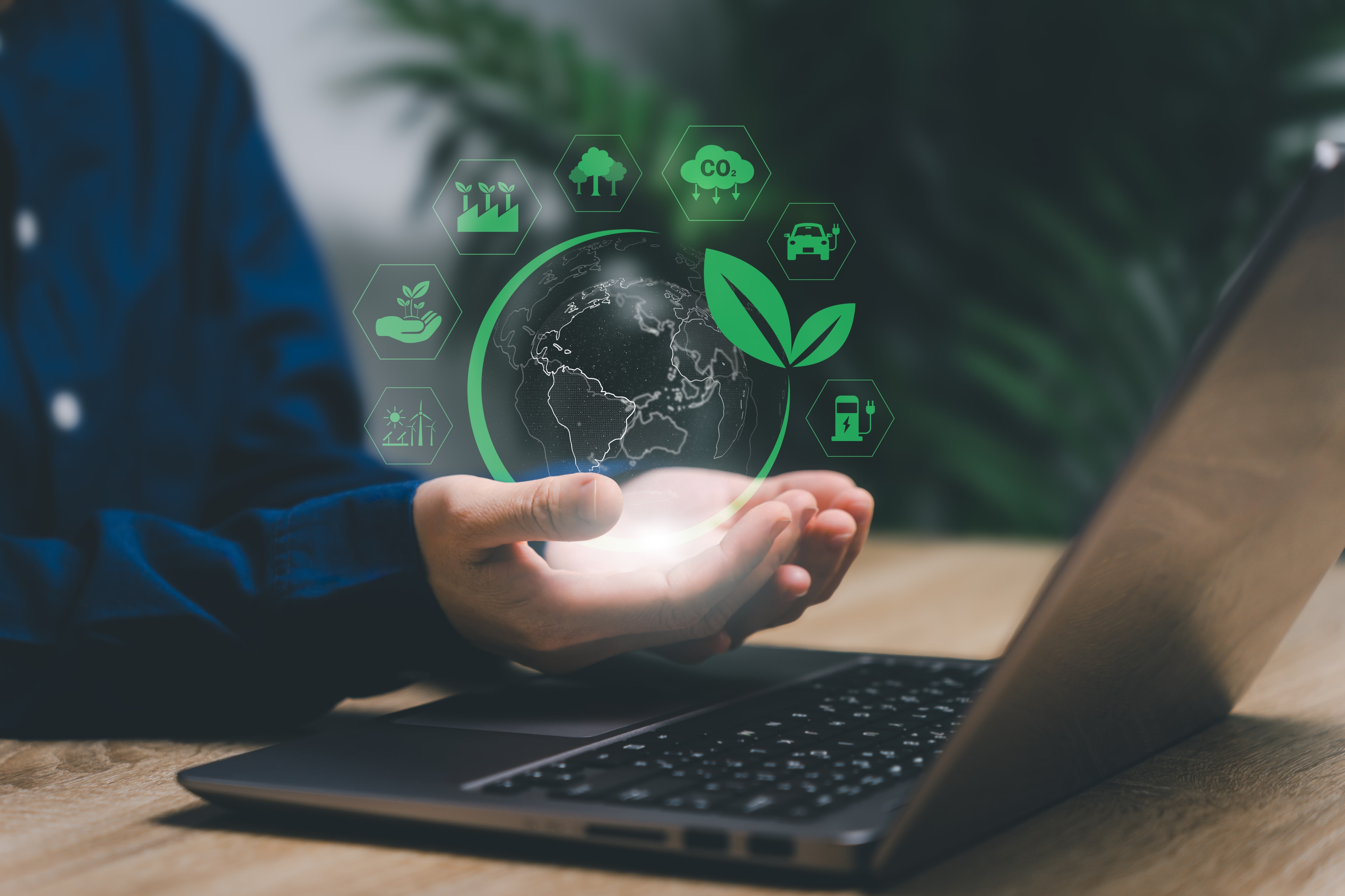 Environmental Resilience